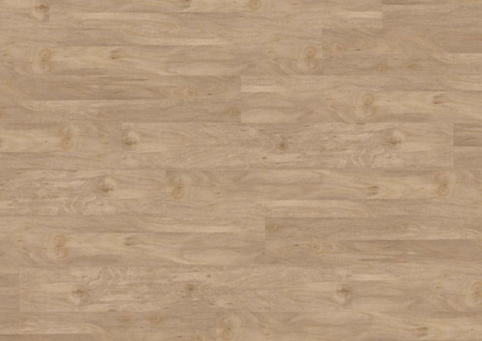 JOKA Design 555 Bleached Elm – Ansicht 1